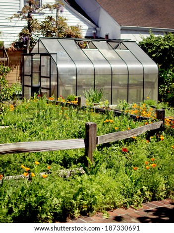 Greenhouse In A Backyard Flower Garden