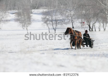 Man riding a horse coach in white snowy winter