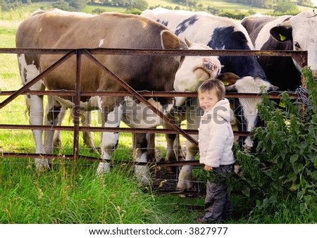Little boy enjoying time with cows at the fence.