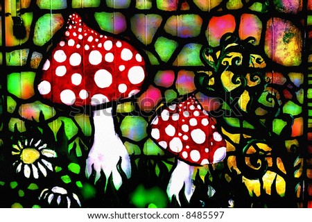 Graffiti on Graffiti Image Of Wild Toadstools Stock Photo 8485597   Shutterstock