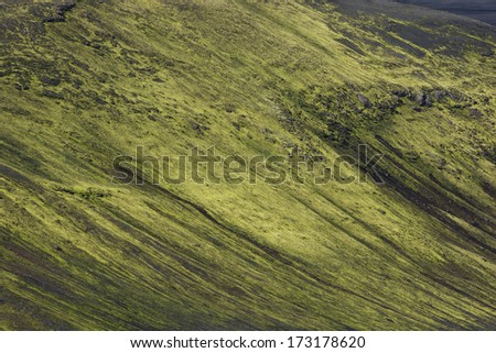 Hillside covered with green thick moss, Lakagigar, Iceland
