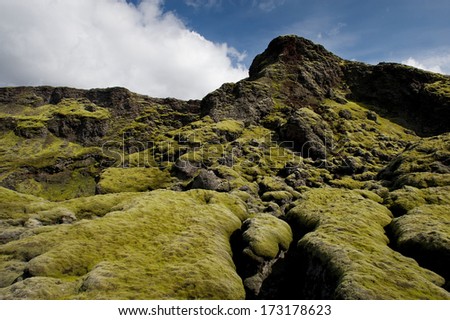 Fluffy green moss on rocks, Lakagigar, Iceland