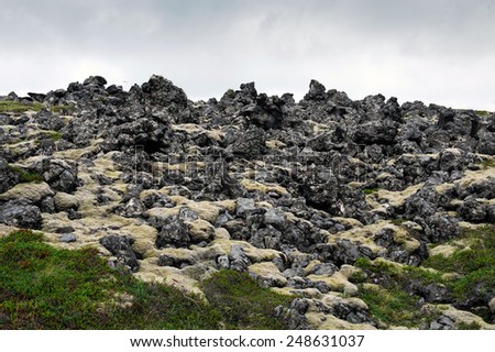 Old lava field covered with yellow and green moss, Arnarstapi, West Iceland