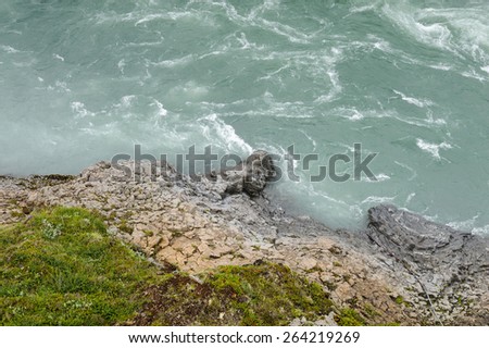 Blue water and rocky shore with some moss and grass, near Godafoss waterfall, North Iceland