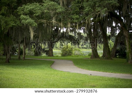 Florida evenings are great even if you are not by any beach. This green way wraps around a local artificial pond in Tallahassee, FL.