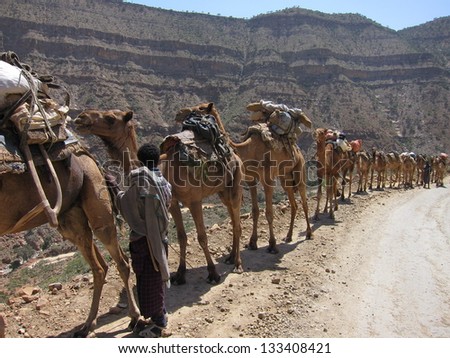 A camel caravan hauls supplies to miners digging salt in the desert of Ethiopia