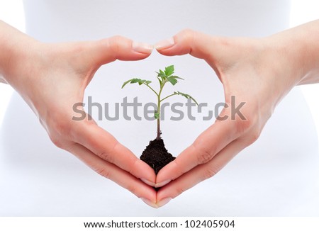 Environmental awareness and protection concept - woman holding young seedling