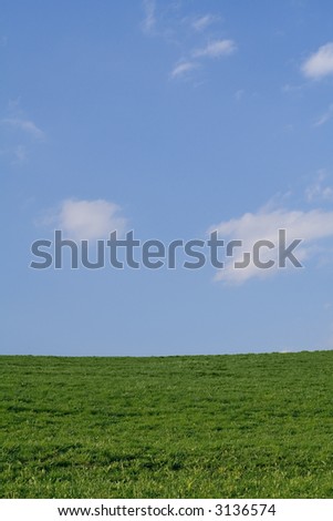 Spring green grass sprouting under blue sky