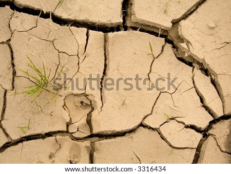 Cracked dry earth with animal footprint and sprouting young vegetation - global warming concept