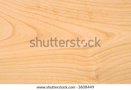 Beech Wood Texture