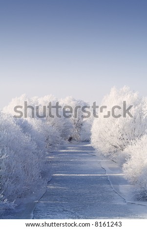 Frozen river flanked by white frost trees in the bright winter sun, after a chilling and foggy night