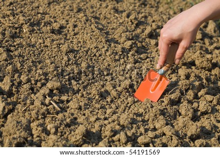 Woman preparing soil for spring gardening with a small shovel - copyspace
