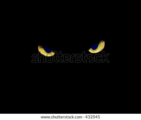 Cross-eyed Cat Eyes