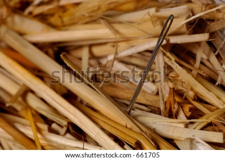 Macro of needle in a haystack