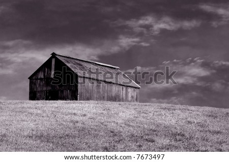 Beautiful sepia image of vintage kentucky Horse barn