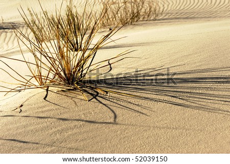 beautiful Sunset Image from white sands new mexico
