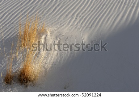 Beautiful Image of the Dunes at white sands new mexico