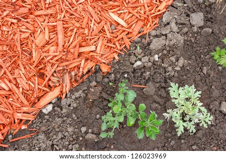 Black dirt and red mulch background