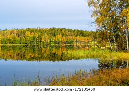 Autumn mood at lake. Finland, Europe