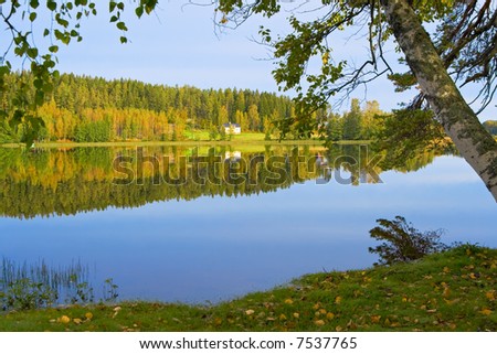The shore of beautiful lake. Finland (2)