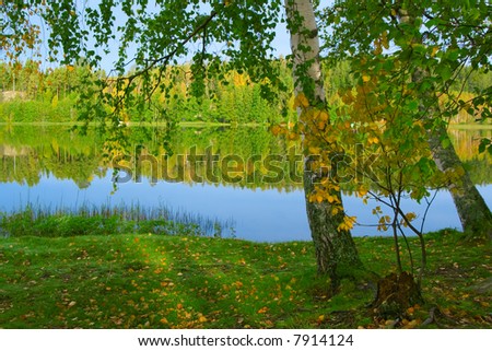 The shore of beautiful lake. Finland (3)