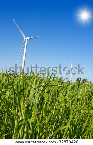 Green field with two windmills