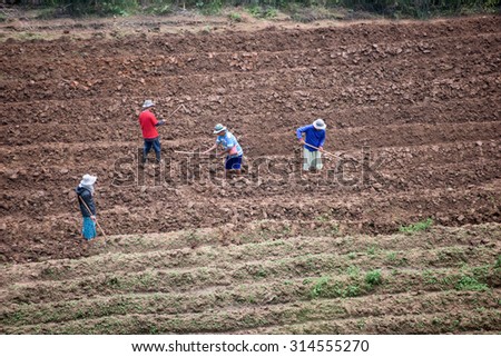 Villagers help each another break up the soil