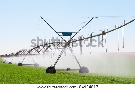 Motorized irrigation equipment spraying in a lucerne field