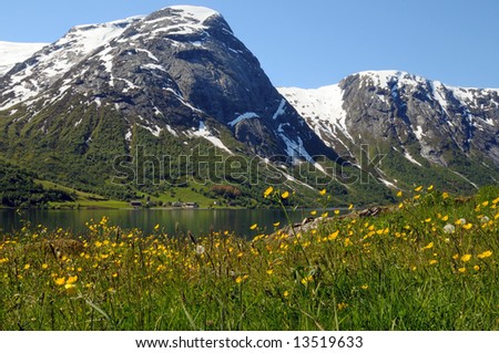 Springs scenery from Western Norway - Snow-capped mountains  reflecting, lake and yellow flowers