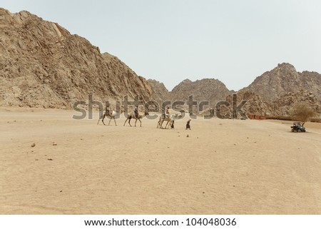 Camel safari in Egypt, outdoor horizontal shoot