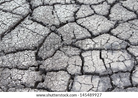 Cracked dry mud, outdoor close up shoot