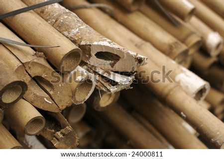 Close up of a pile of bamboo that are still being used in Hong Kong to build large scaffolds during building maintenance