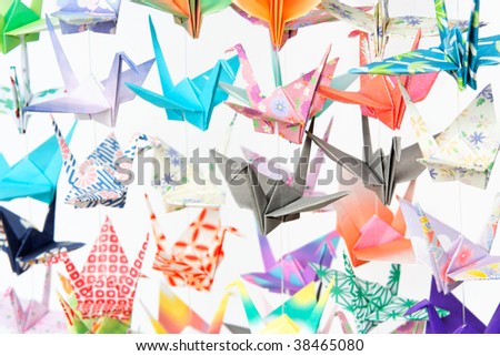 Photo of multicolor paper cranes hanging together using fishing lines.