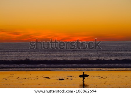 lone surfer