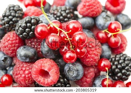 Freshly collecting wild berry fruits