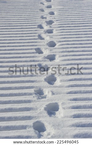 symbolic picture showing boot traces walking away in fresh fallen snow