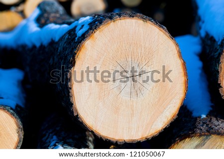 Wooden circle with a split cut of the log