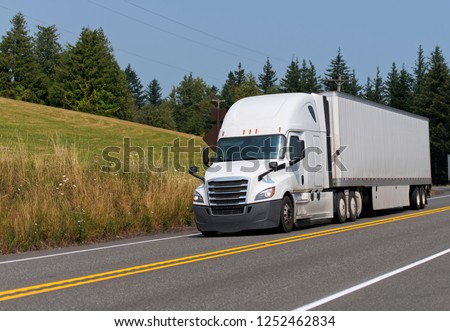 White modern bonnet professional technological big rig semi truck transporting dry van semi trailer with commercial cargo on the road with trees and summer meadow background