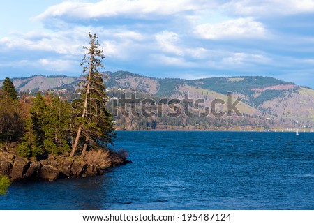 Island of evergreen trees growing on rocks on the shore of the Columbia River, in the sun on the background of river water, mountains and cloudy sky