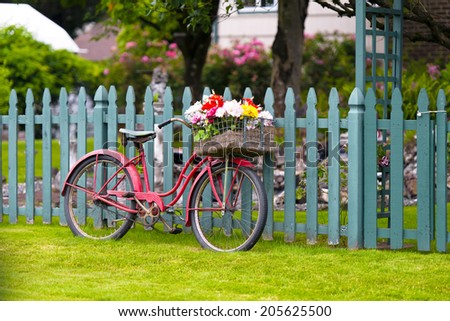 Stylish elegant old red bicycle with a basket of flowers in a basket for luggage at the front bicycle wheel standing under a wooden fence painted with a wicket and a front garden with flowers.