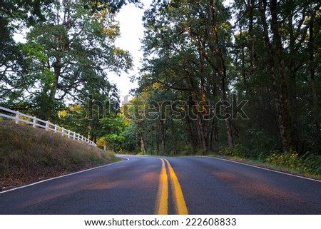 Road going for the turn with a yellow stripe in the center of the separation of asphalt road runs between the green trees, throw a shadow of its foliage and a wooden fence, painted white.