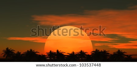 Tropical palm trees against a background of the sunset sky with the setting sun in the middle