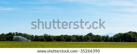 Panoramic landscape of a cornfield and an irrigation system with mountains on the background