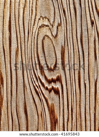 Closeup of a wooden panel with lot of rings