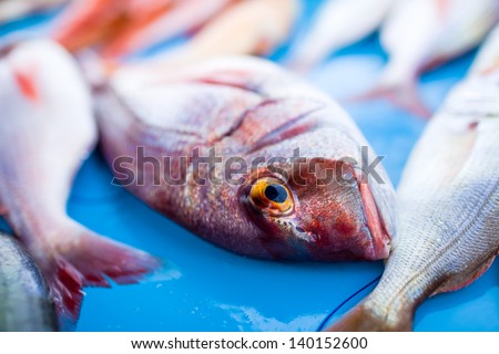 Fresh fish on a table in a marketplace/ Fresh fish