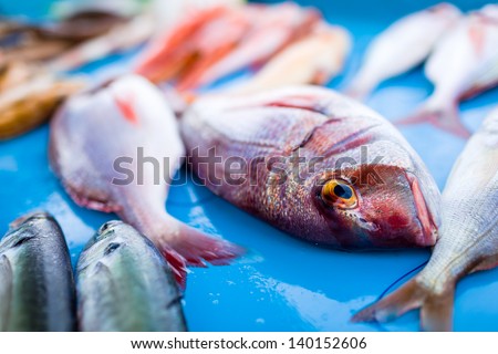 Fresh fish on a marketplace table/ Fresh fish