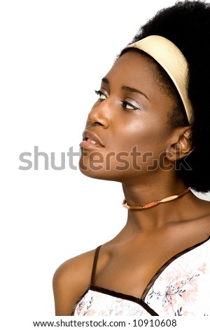 black afro hairstyles. stock photo : African American