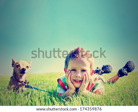 a boy and a tiny chihuahua in the grass done with a vintage retro instagram filter a boy and a tiny chihuahua in the grass done with a vintage retro instagram filter