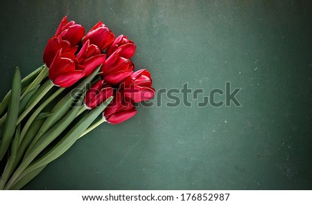 tulips on a wooden board. good for mother\'s day, easter, valentine\'s day or other holidays symbolizing love