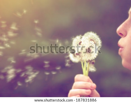 a girl blowing on a dandelion done with a vintage retro instagram filter